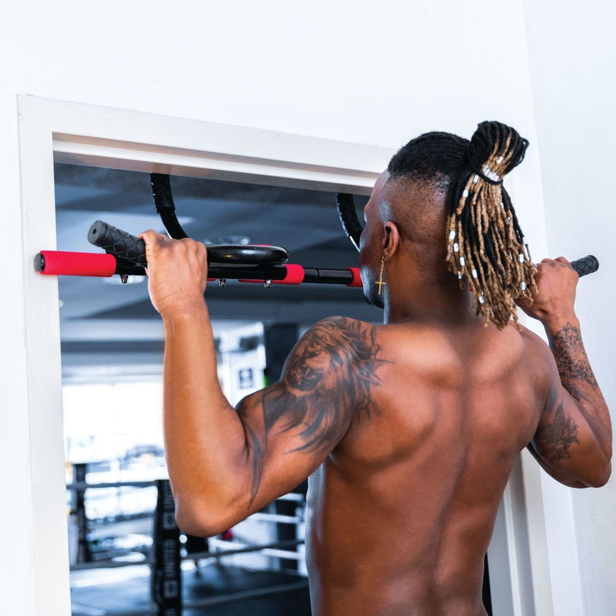 Everlast Pro Door Gym