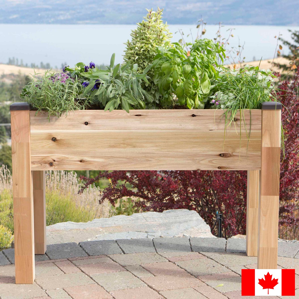 CedarCraft Elevated Cedar Planter, 30 in. High