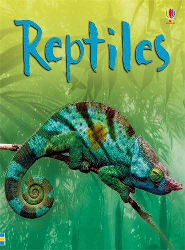 Reptiles (Beginners) by Catriona Clarke